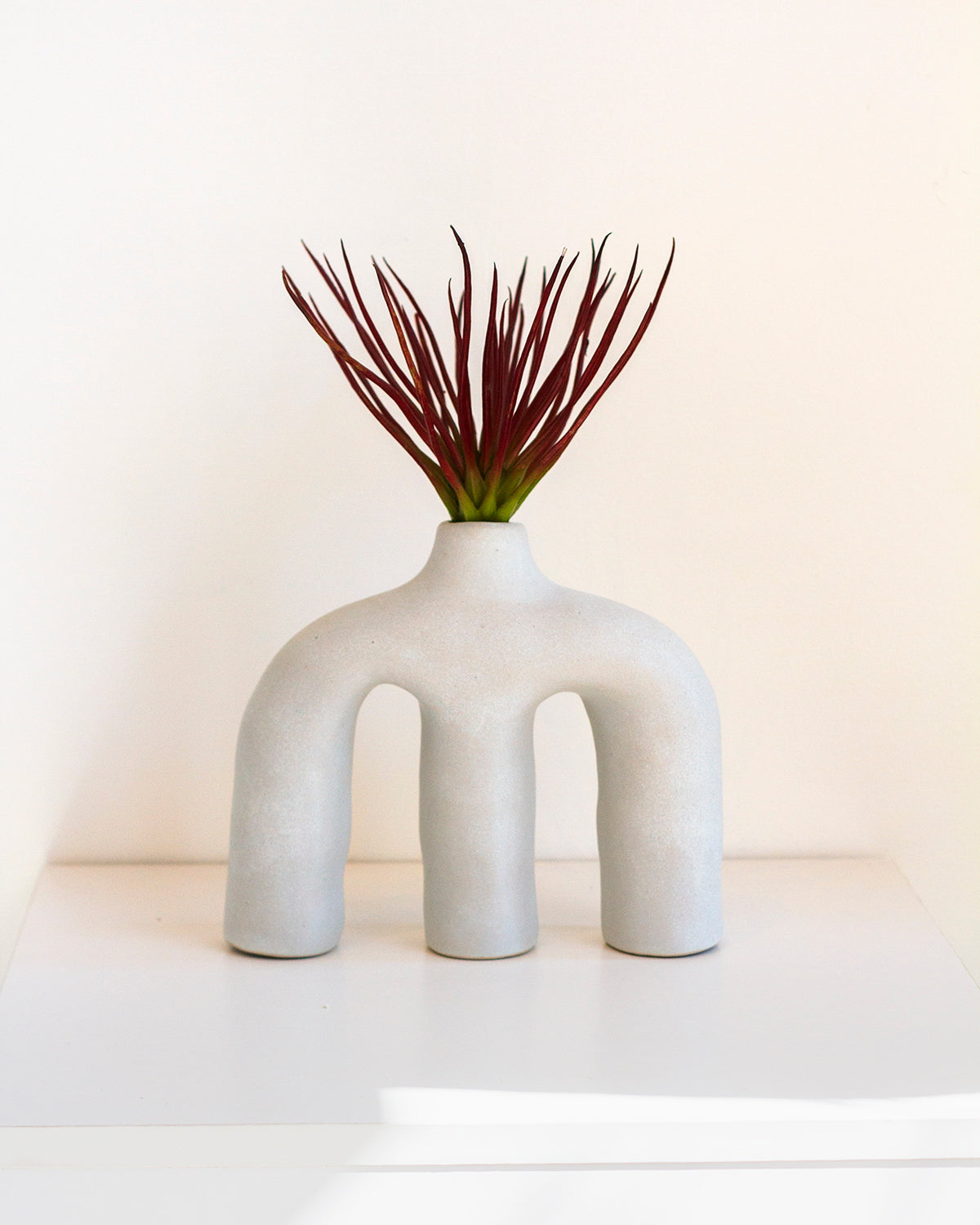 Anatomy Clay Vase - Bone White