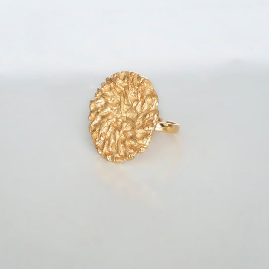 Holbox Textured Ring