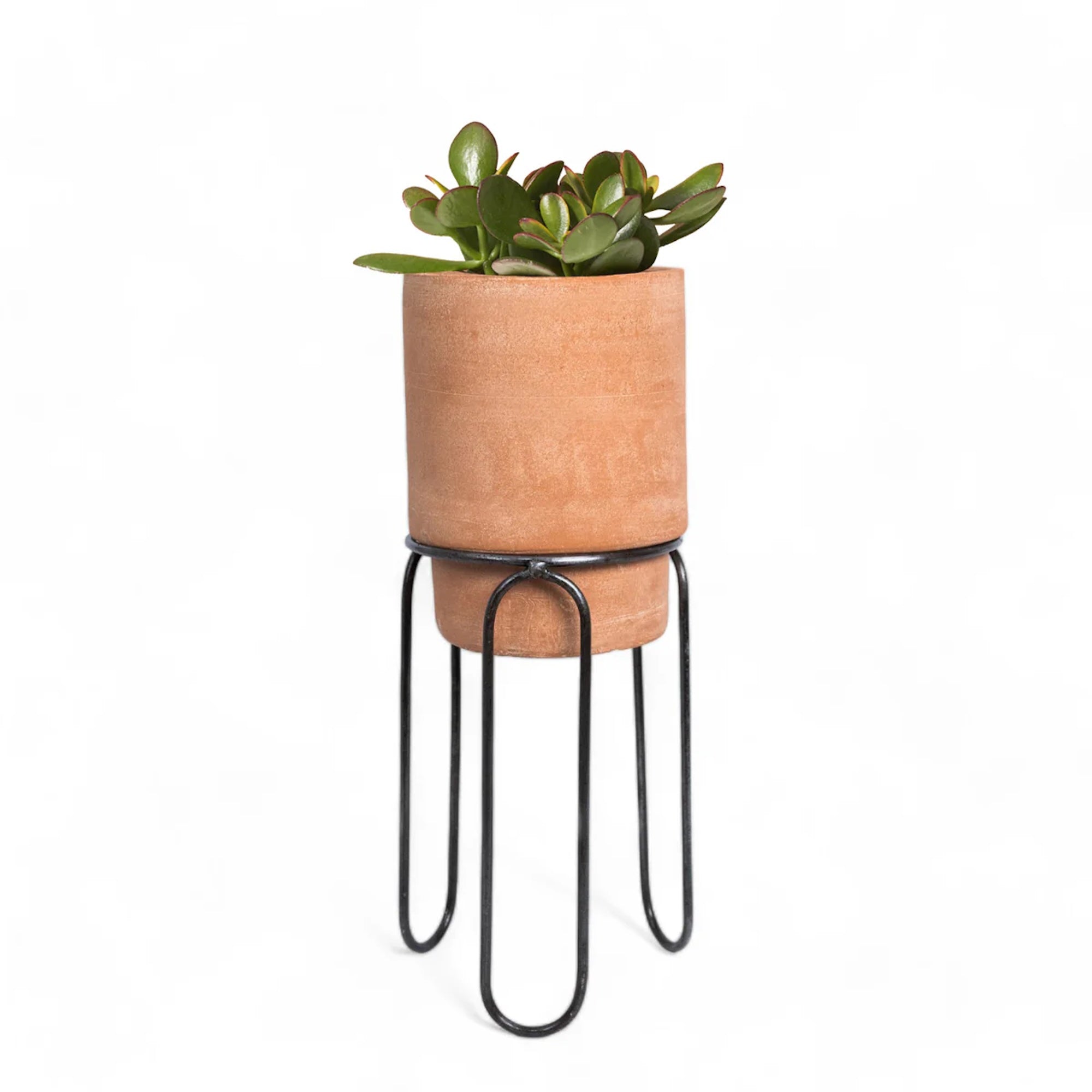 little terracotta plant pots Jaro Small Terracotta Planter – atacama home