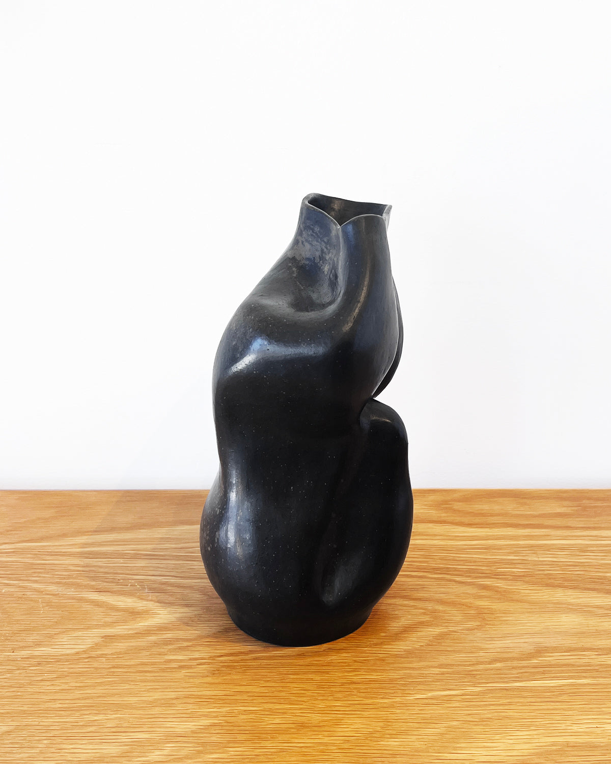 Patagonia Black Clay Sculptural Vases