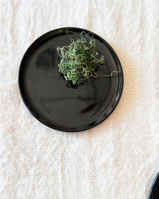 Black Caviar Handmade Salad Plates - Set of 4