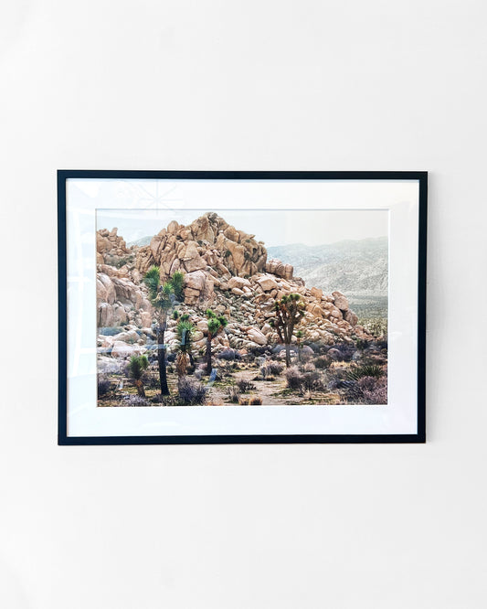 Joshua Tree Desert Landscape Framed Fine Art Photograph